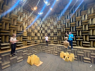 The acoustic anechoic chamber
