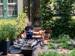A lovely man that I met who is content to feed the pigeons 3x a day
