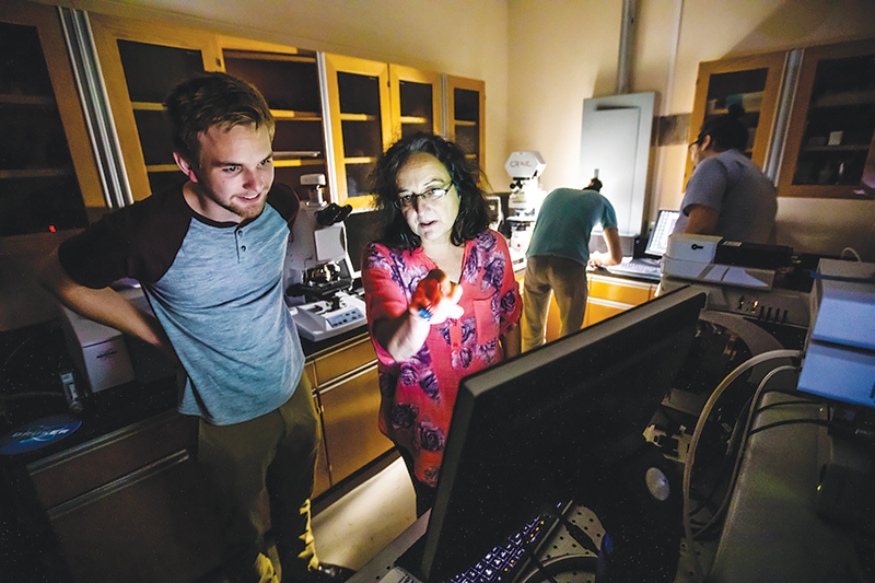 Physics professor Mariana Sendova instructs student Jay Mosher on conducting vibrational analysis of Raman spectra. Photo courtesy of New College of Florida.