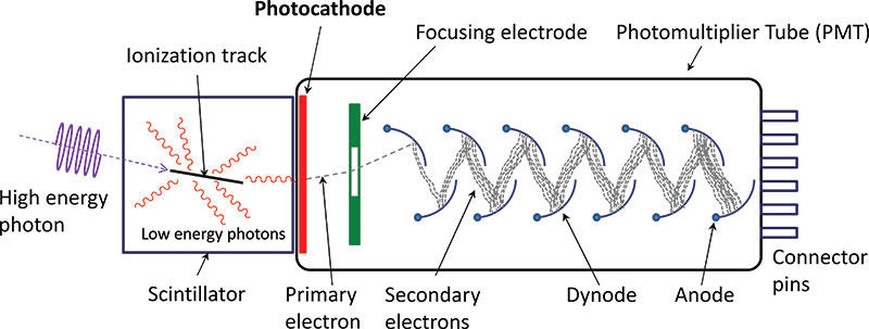 A schematic view of a scintillator coupled to a photomultiplier tube (PMT). High-energy radiation enters the scintillator and emits a flash of light. The signal is captured and amplified by a PMT, then read out and recorded by the experiment. Image by Qwerty123uiop, licensed under CC BY-SA 3.0.