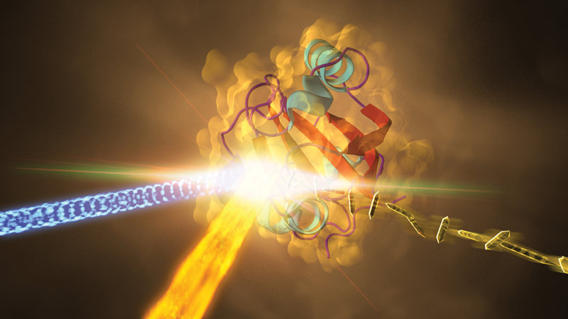 This illustration depicts an experiment at SLAC that revealed how a protein from photosynthetic bacteria changes shape in response to light. Samples of the crystallized protein (right), called photoactive yellow protein or PYP, were jetted into the path of SLAC's LCLS X-ray laser beam (fiery beam from bottom left). The crystallized proteins had been exposed to blue light (coming from left) to trigger shape changes. Diffraction patterns created when the X-ray laser hit the crystals allowed scientists to recreate the 3-D structure of the protein (center) and determine how light exposure changes its shape. Image courtesy of SLAC National Accelerator Laboratory.