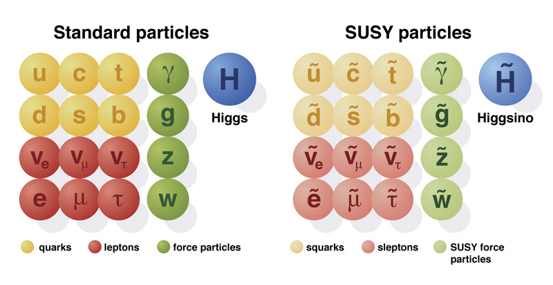 Particles known to the standard model of particle physics (left) and predicted by supersymmetry (right). Image by CERN / CMS Collaboration.