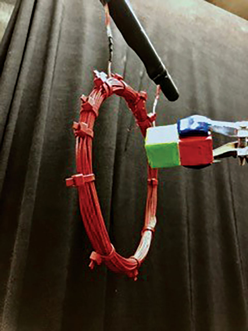 Hanging coil in series with light bulb and near a strong magnet.