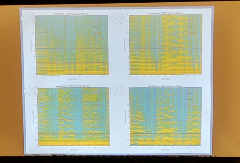 An image from the presentation “Signal Analysis of New Orleans Jazz Clarinet Sound” by Joshua Veillon from the University of New Orleans.  All photos by Phoebe Sharp.
