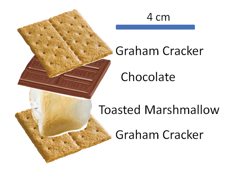 Figure 1. An ideal, nonspherical s’more with a toasted marshmallow and a piece of chocolate sandwiched between two pieces of graham cracker.