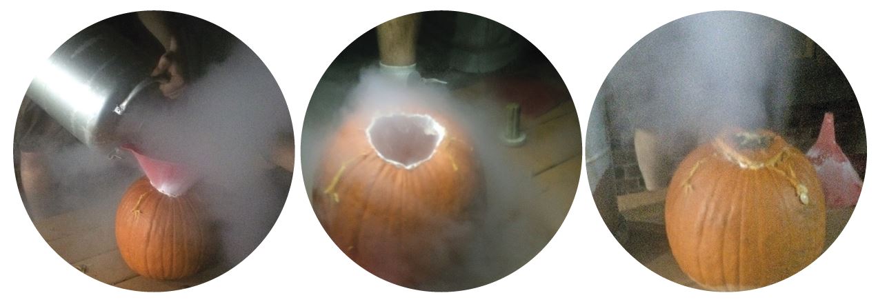 Figure 1 - Pouring liquid nitrogen into pumpkins. Pretty cool! Photo courtesy of Ravn Jenkins.