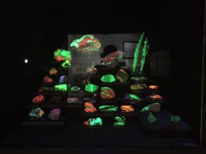 Some glow in the dark rocks at the Natural History Museum
