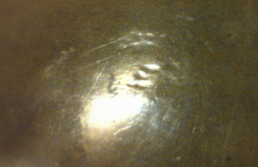 Paw Prints of the &quot;Ghost Cat&quot; in the cement floor