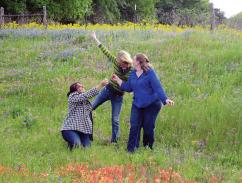 Jessica Plaia (left), Keeley Townley-Smith (middle), and Sara-jeanne Vogler (right) play in the wildflowers on their way back from the Joint Spring 2013 Meeting of the Texas sections of the APS, AAPT, and SPS in Stephenville, TX. Photos courtesy of Sara-jeanne Vogler.