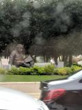 On the way to work, I saw this man sitting like Einstein at the Einstein memorial. 