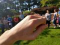 This little guy flew down and landed on my hand as I was using it to gesture at everyone to get together for the photo. 